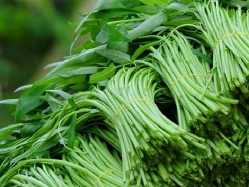 Ngủ mơ thấy rau muống và những con số xoay quanh nó