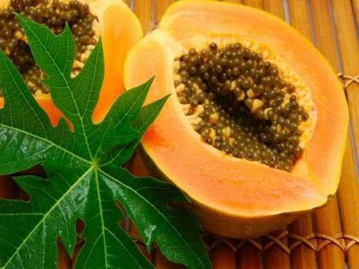 Tổng hợp ý nghĩa giấc mơ thấy quả đu đủ