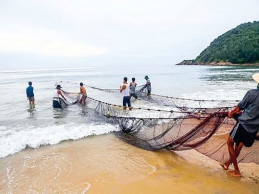 Ngủ mơ thấy kéo lưới bắt cá đánh con gì? Ý nghĩa giấc mơ