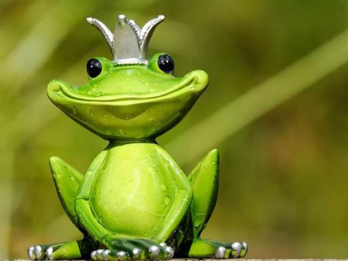 Mơ thấy con nhái là điềm báo hên hay xui, đánh ngay số mấy?