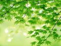 Phân tích ý nghĩa giấc mơ thấy màu xanh và những điềm báo lành dữ
