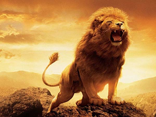 Mơ thấy sư tử - Giải mã bí ẩn giấc mơ thấy sư tử là gì