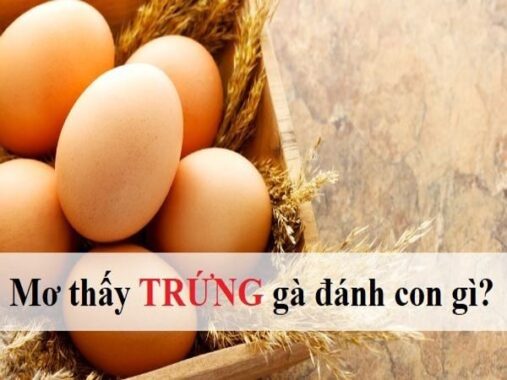 Giải mã giấc mơ thấy trứng gà điềm báo lành hay dữ? Đánh con gì chính xác?