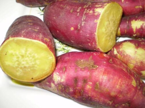 Nằm mơ thấy khoai lang có điềm báo tốt xấu thế nào