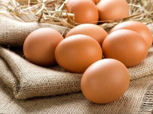 Nằm mơ thấy trứng gà là điềm báo gì đánh số mấy