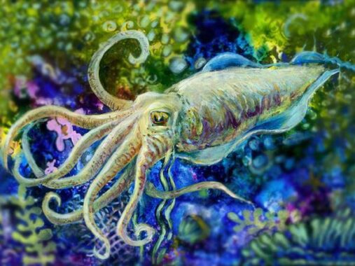 Mơ thấy con mực báo mộng điềm gì? Nên đánh số mấy?