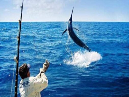 Nằm mơ thấy cá cắn câu đánh số mấy ? Là điềm báo gì ?