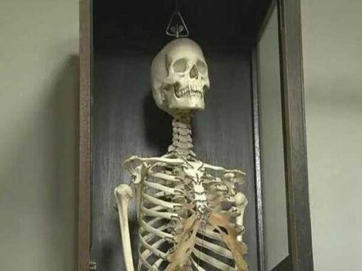 Nằm mơ thấy xương người có điềm báo gì, đánh con gì