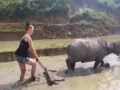 Mơ thấy đi cày đánh con gì? Điềm báo giấc mơ tốt hay xấu
