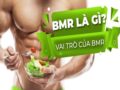 Chỉ số BMR là gì? Cách tính chỉ số BMR