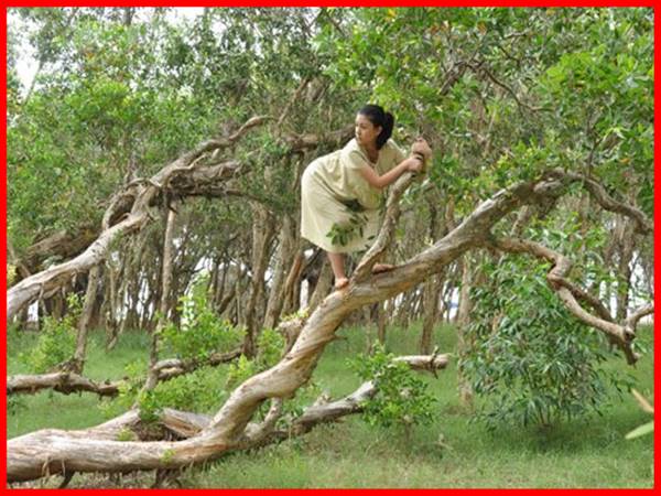 Nhìn thấy leo cây nên chọn con số may mắn phát tài nào